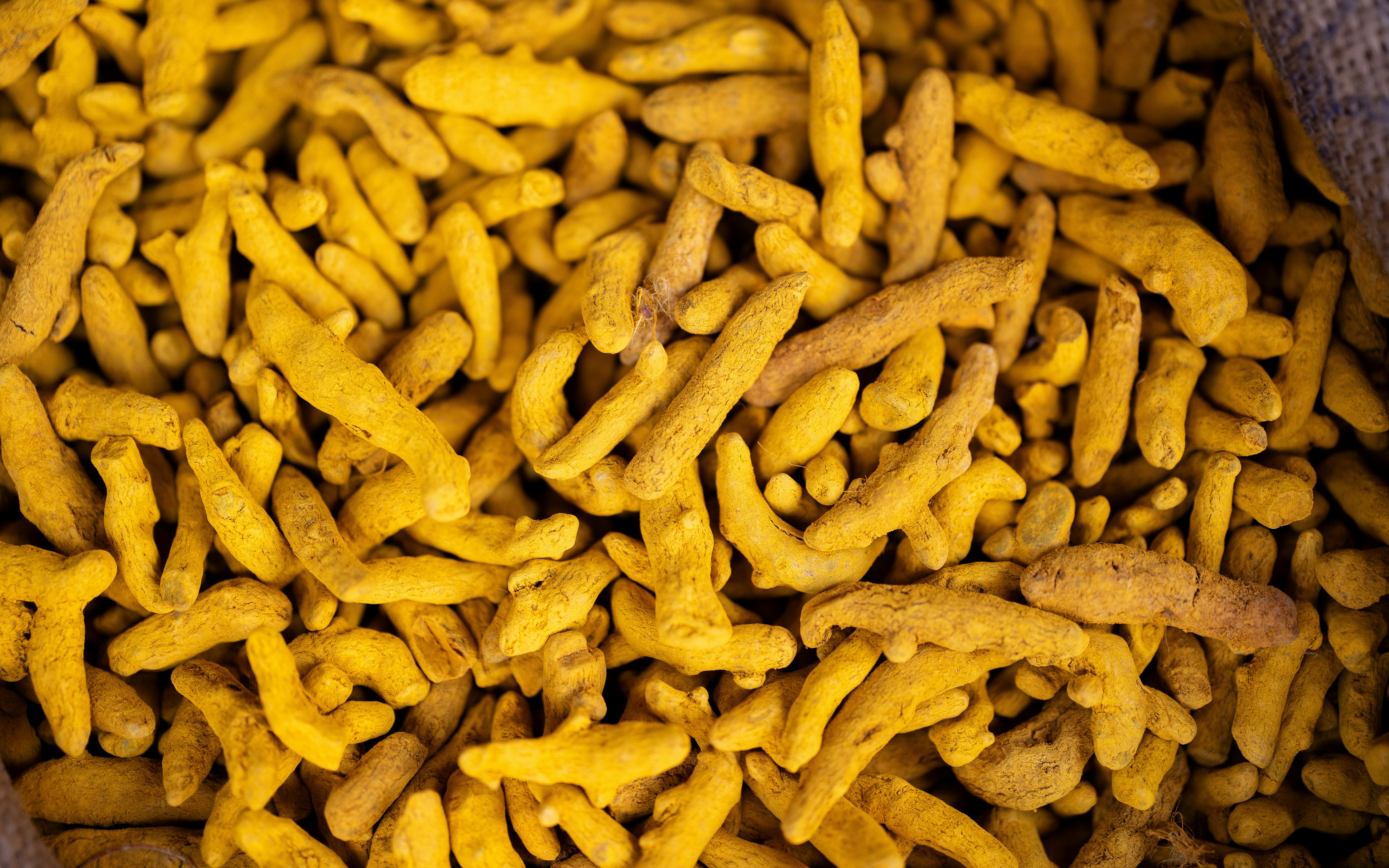 Turmeric Quality Standards for Importers