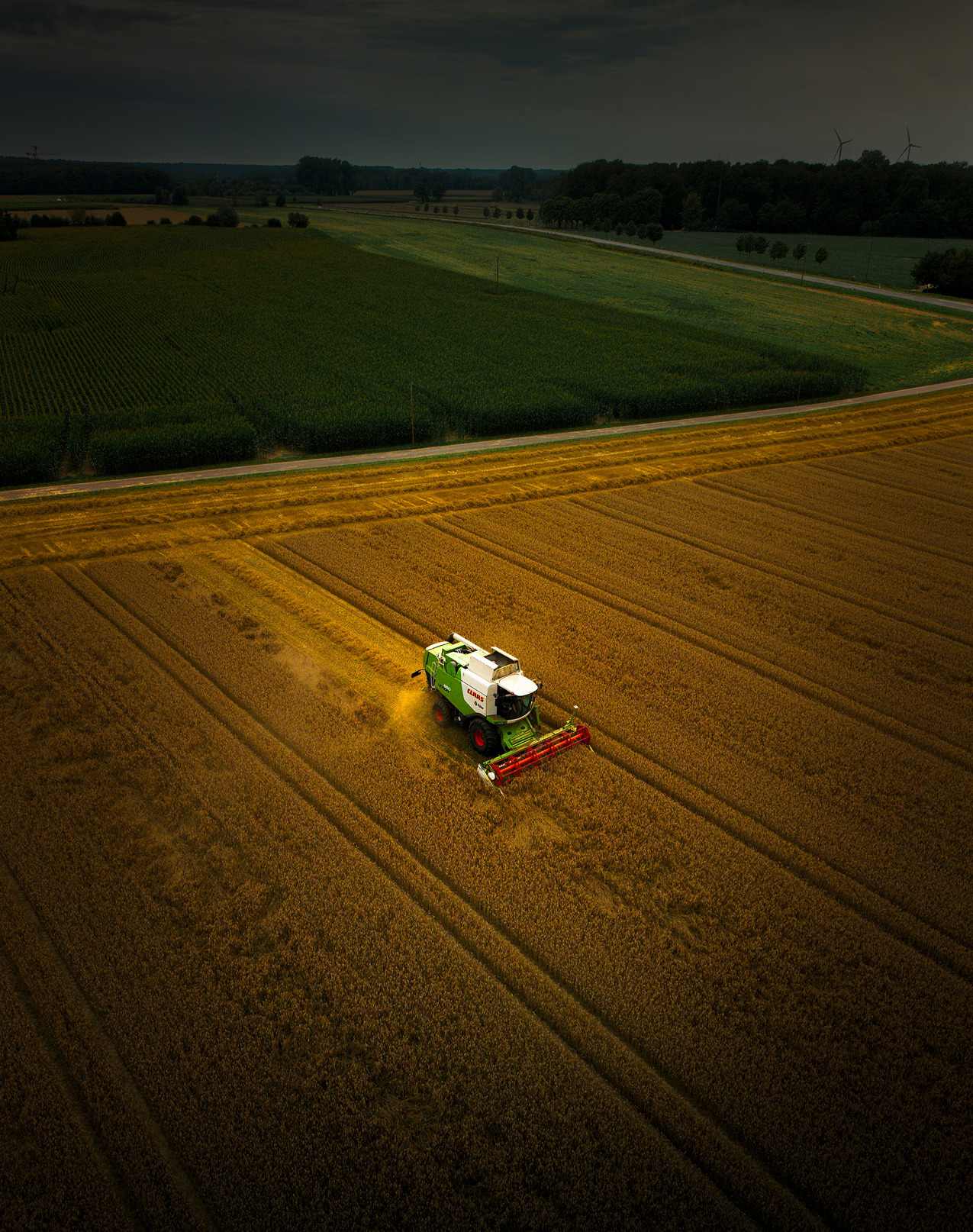 Golden Indian farmland at sunrise — Aethon Overseas vision for agricultural export